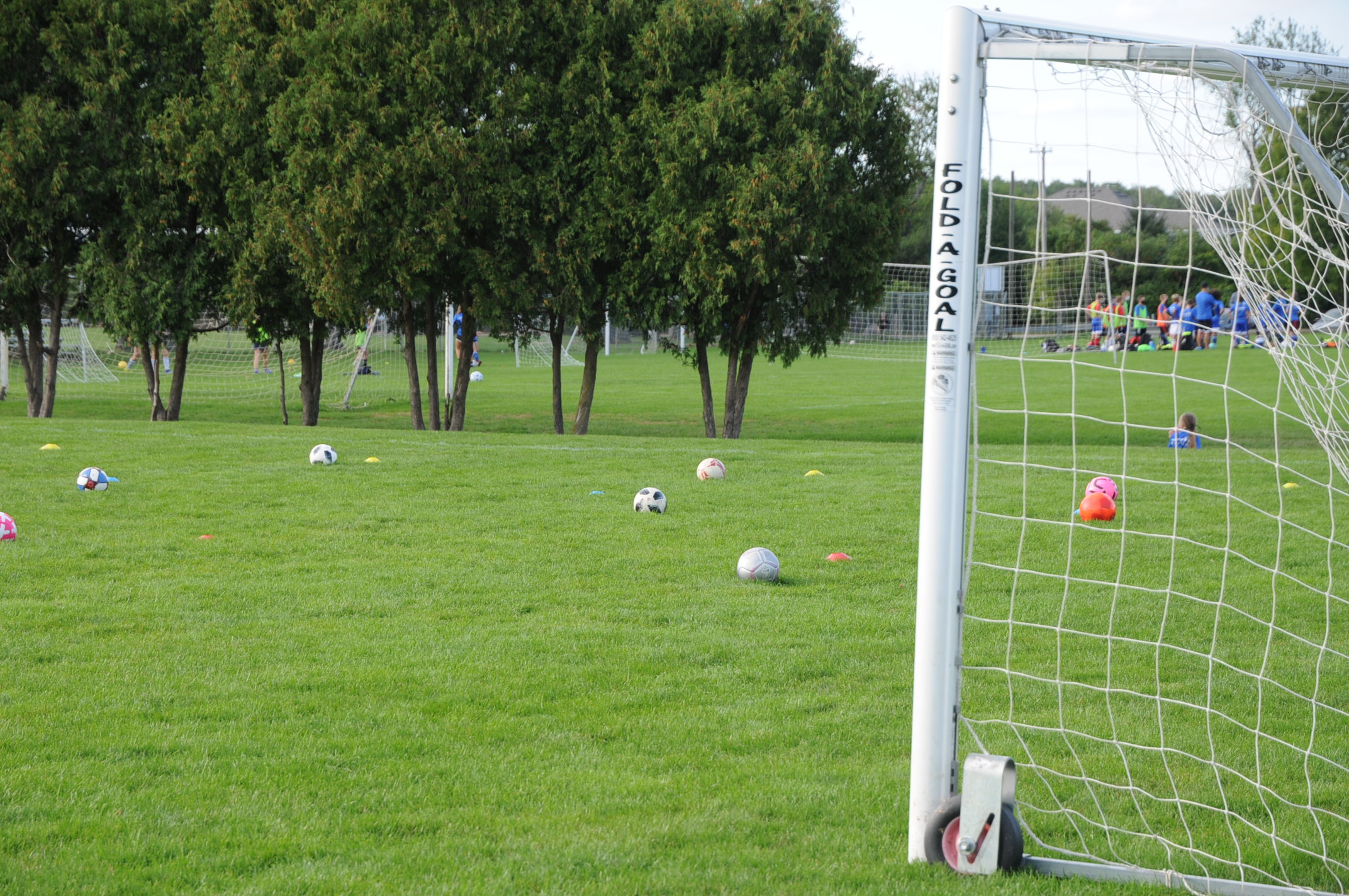 soccer field