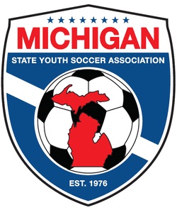 MSYSA logo